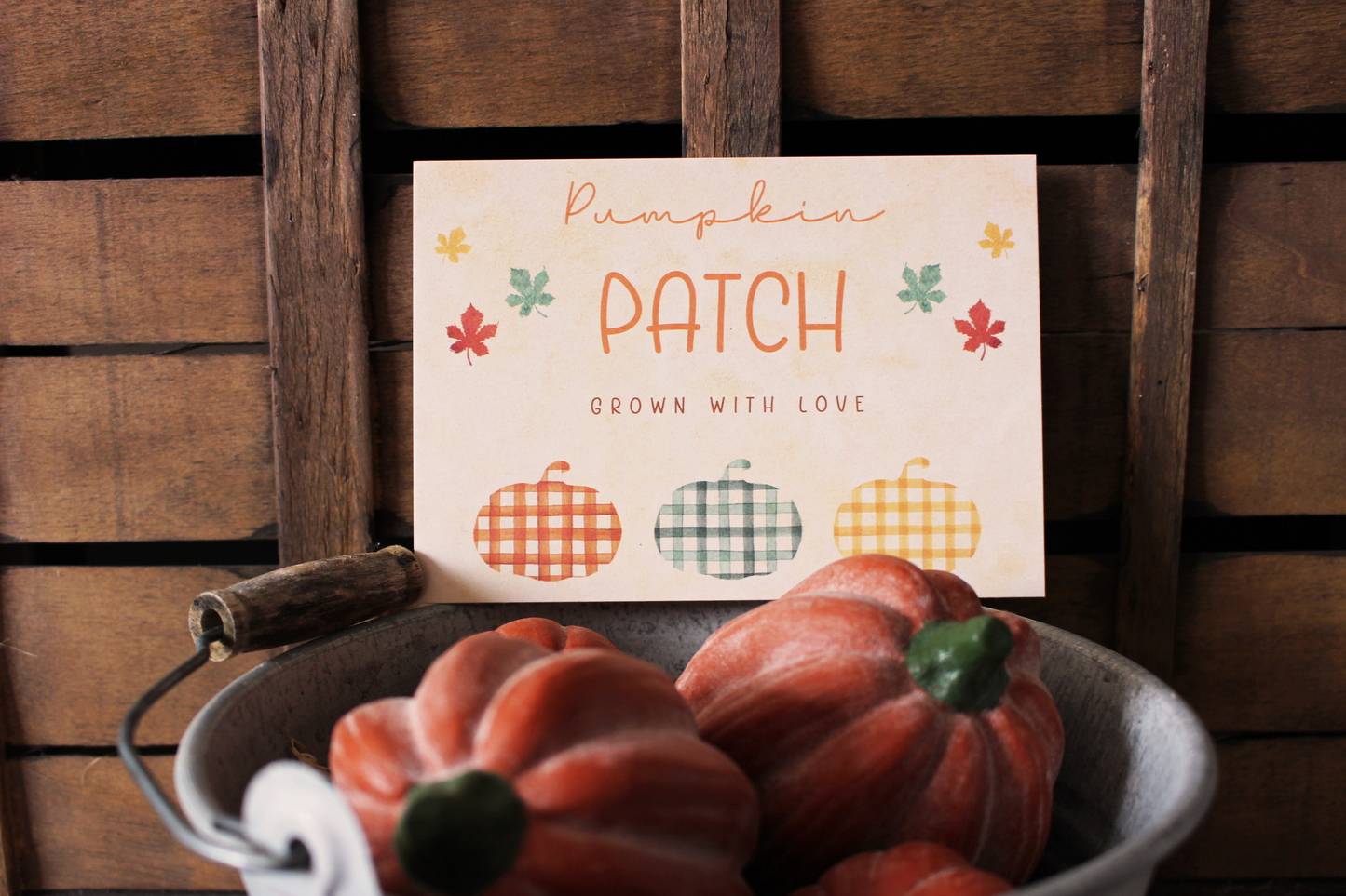 Carte Pumpkin Patch