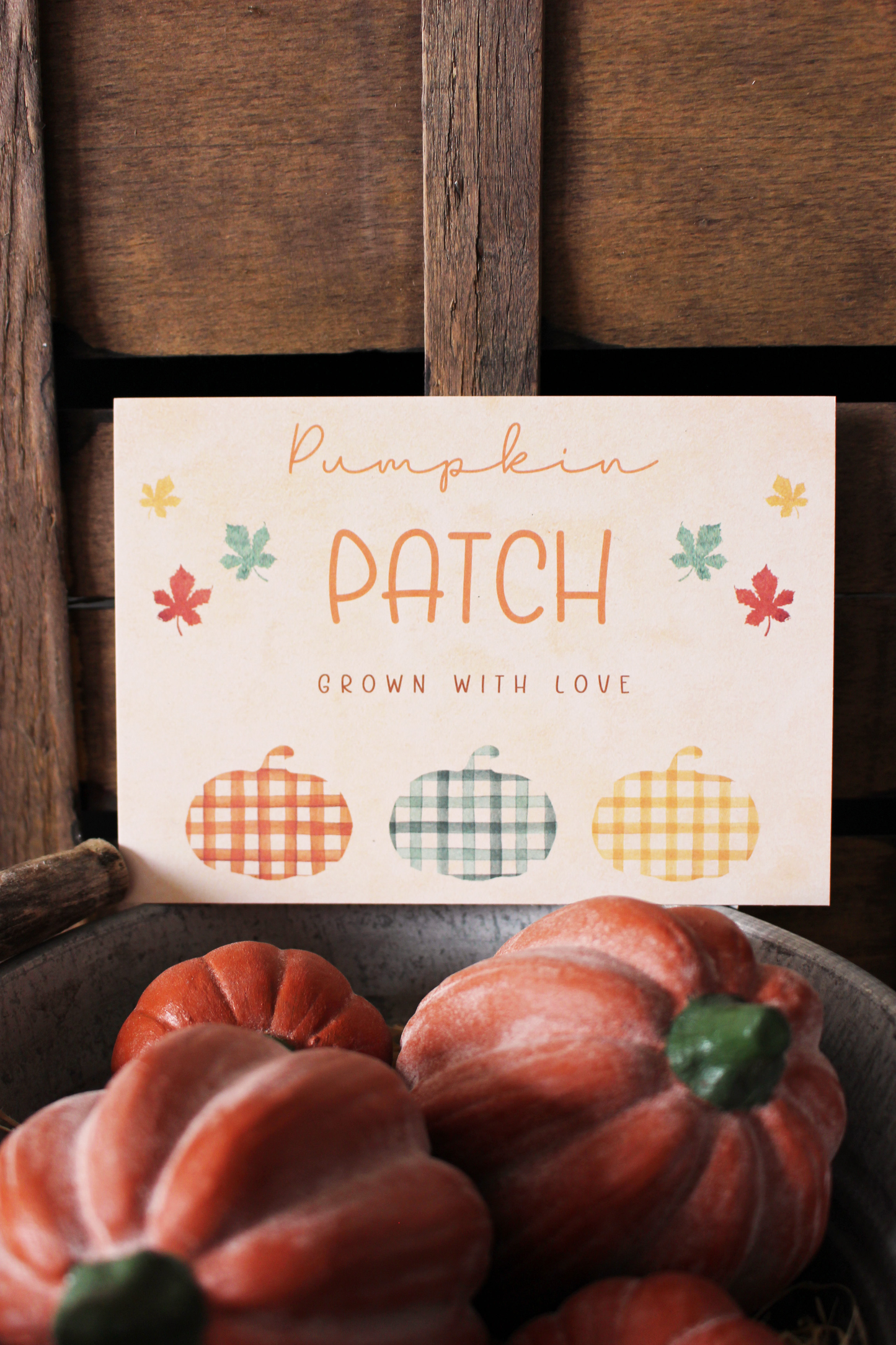 Carte Pumpkin Patch