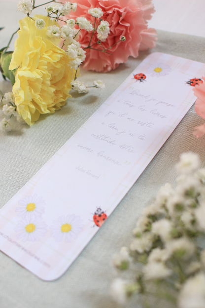 Marque-page Coccinelles