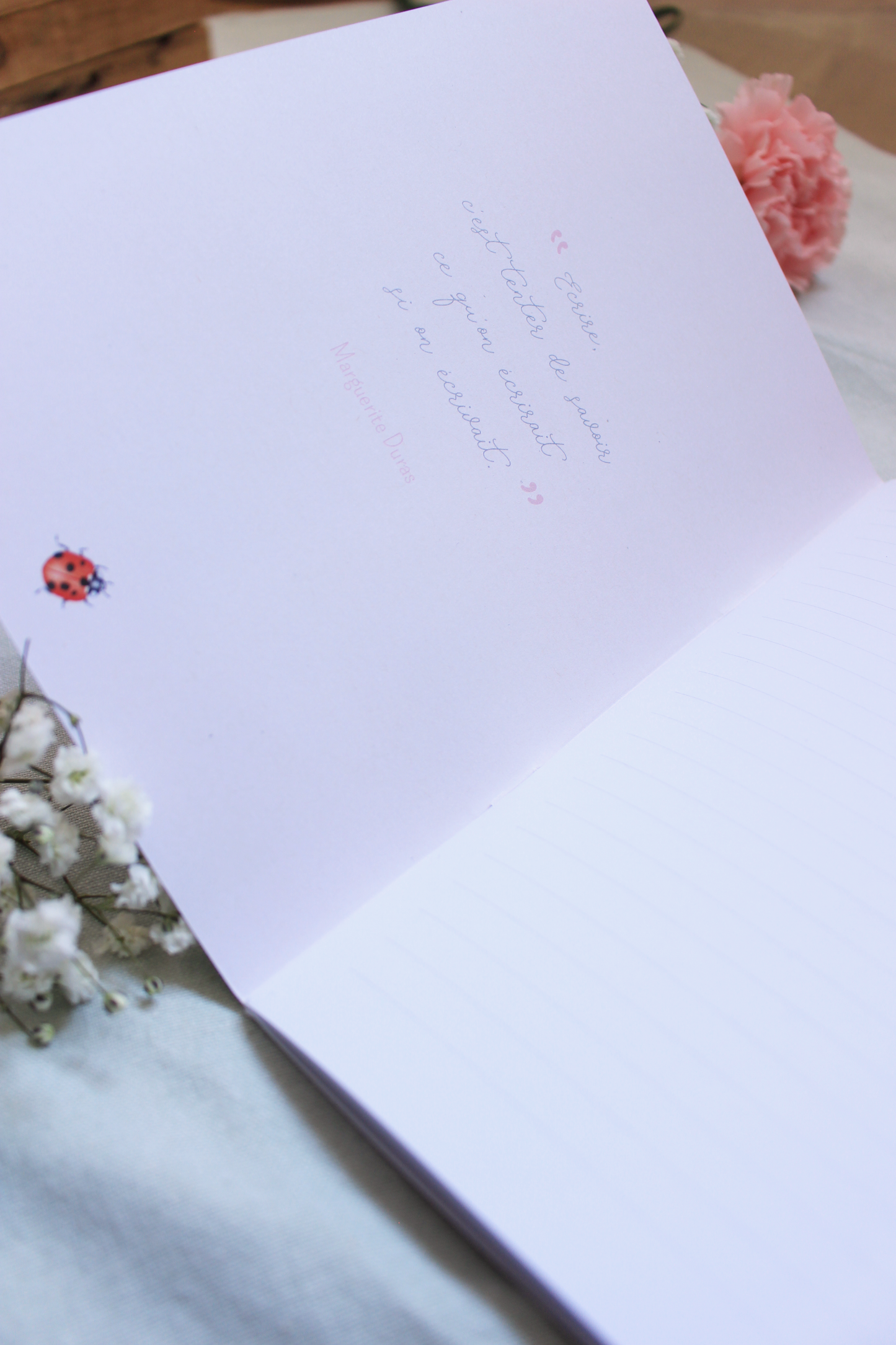 Carnet Coccinelles