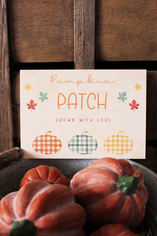Carte Pumpkin Patch