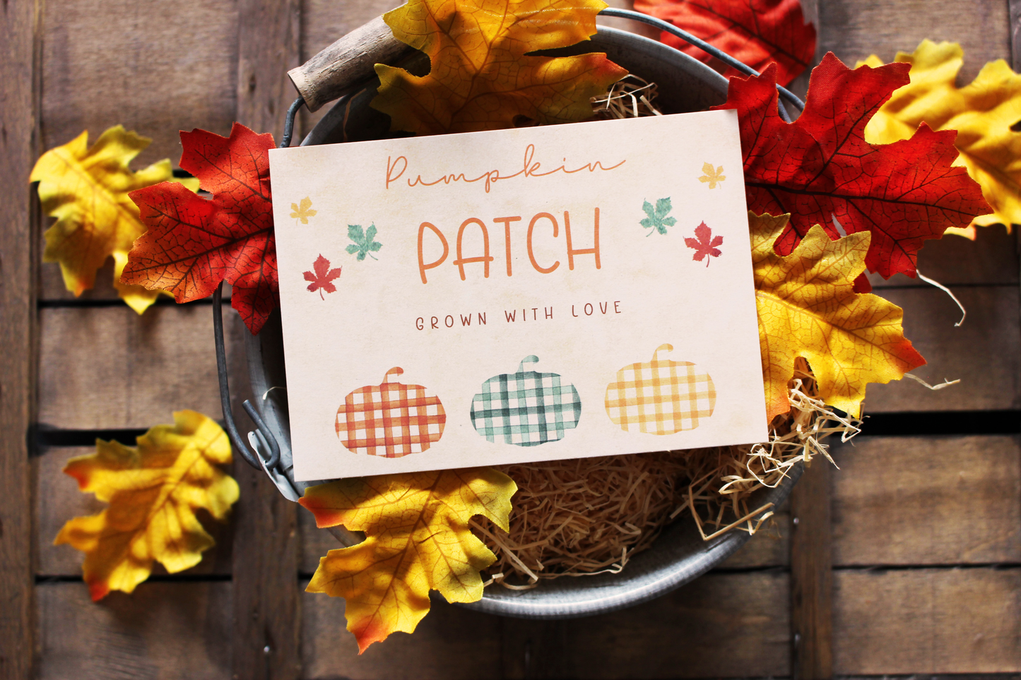 Carte Pumpkin Patch